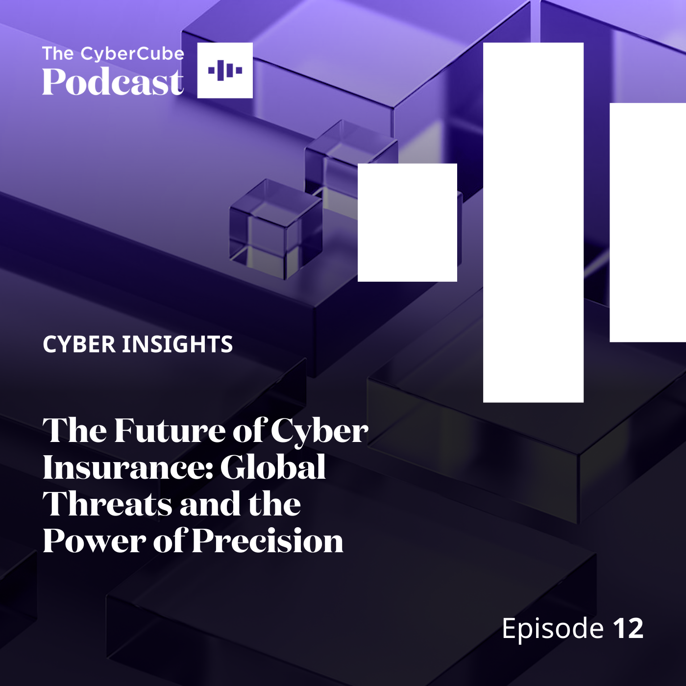 Episode 12: Cyber Insights - The Future of Cyber Insurance: Global Threats and the Power of Precision