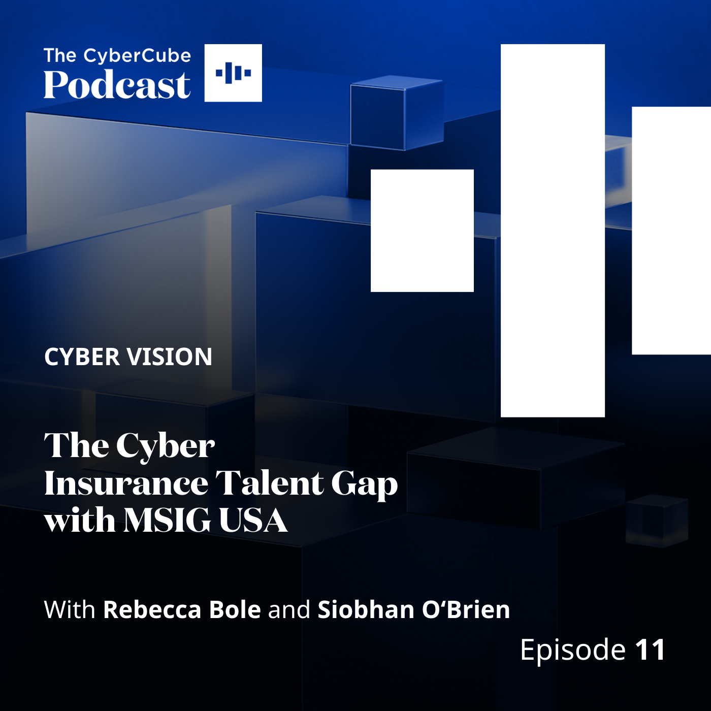 Episode 11: Cyber Vision - The Cyber Insurance Talent Gap with MSIG USA
